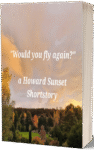 An English Suspense Story - "Would you fly again?"